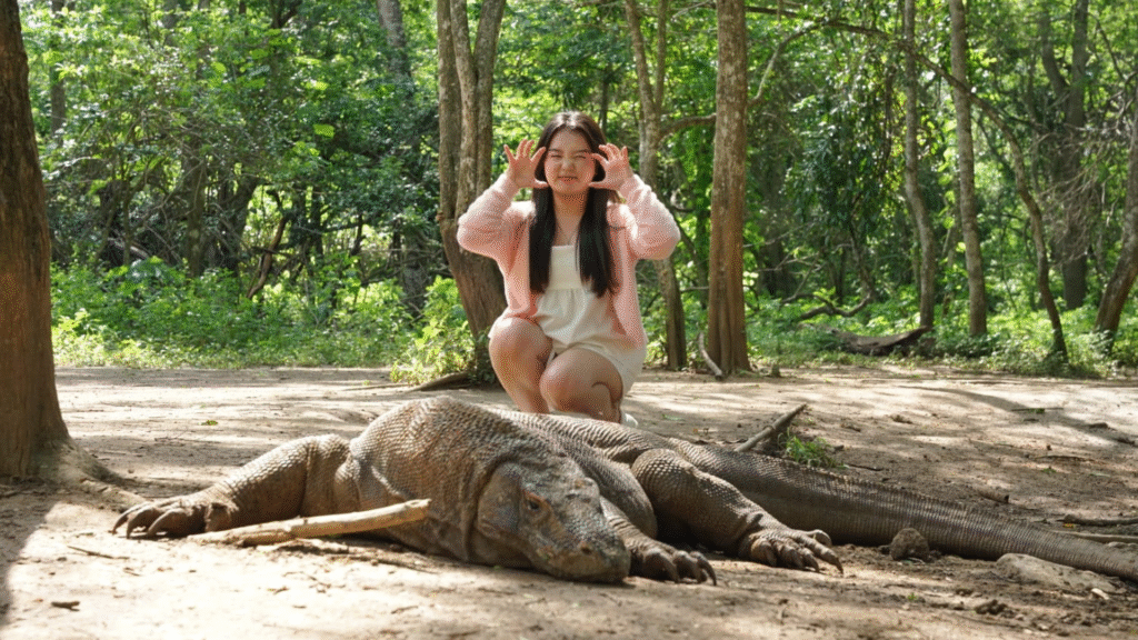 Best Things to Do During a Komodo Cruise Stop
