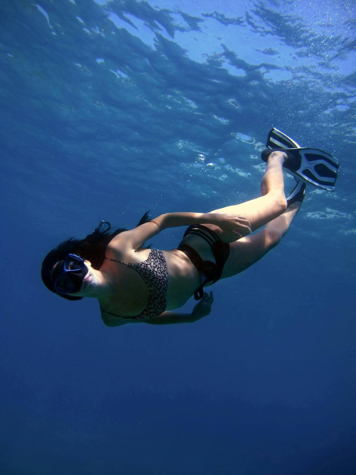 Komodo Diving Tour
