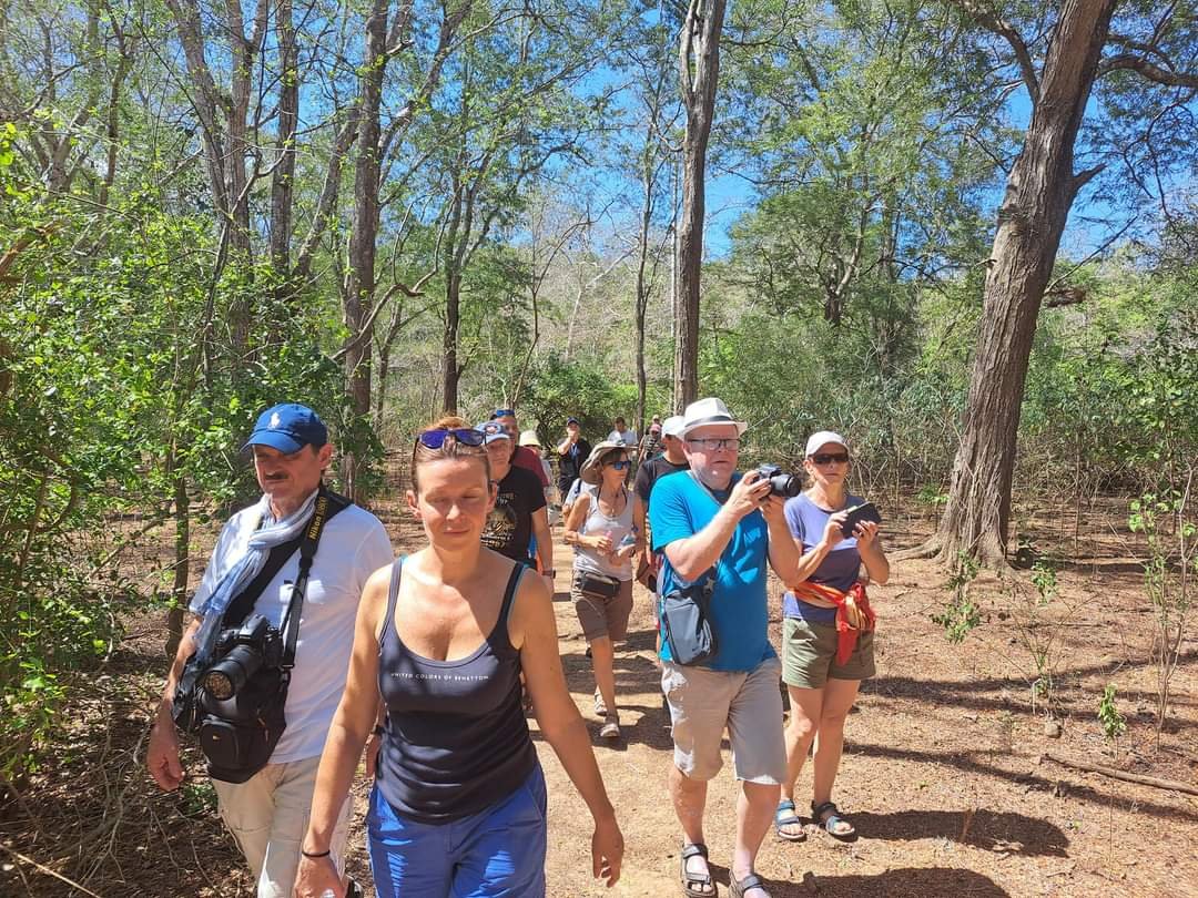 trekking at komodo island
