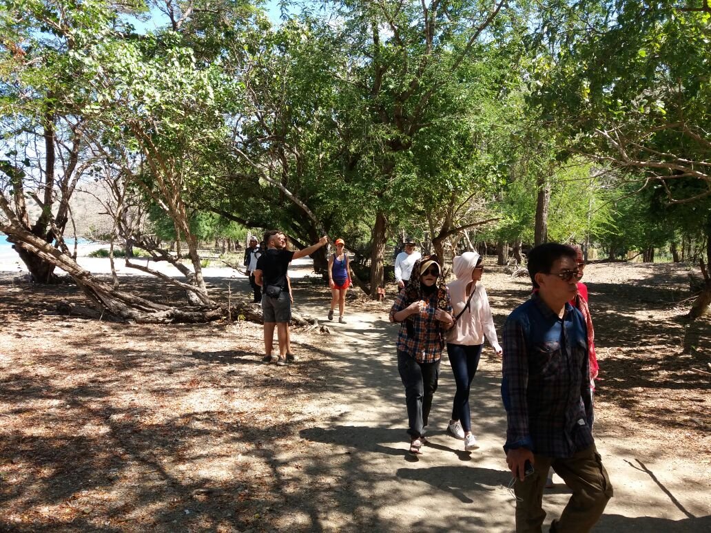 trekking to see komodo and other wild life at Rinca Island